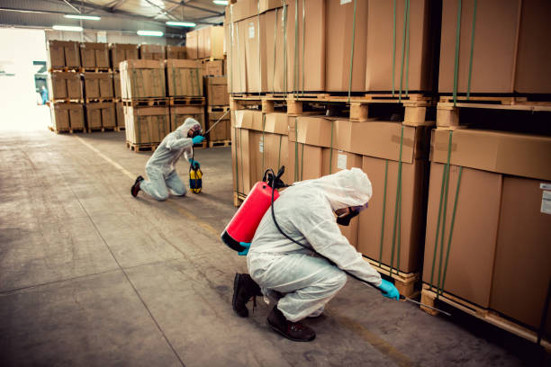 Flea Control Services in Mukwonago, WI