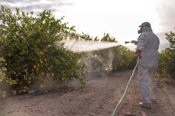 Best Pest Control for Businesses  in Mukwonago, WI