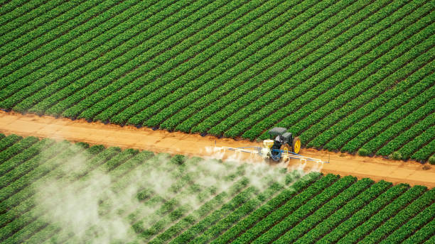 Best Termite Control Services  in Mukwonago, WI