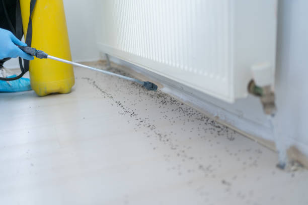 Best Cockroach Control Services  in Mukwonago, WI