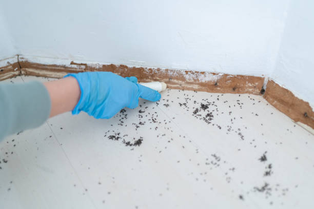 Best Exterminator Services  in Mukwonago, WI
